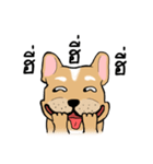 Somboon Happy French Bulldog（個別スタンプ：35）