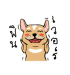 Somboon Happy French Bulldog（個別スタンプ：36）