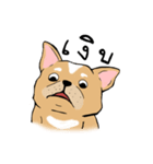Somboon Happy French Bulldog（個別スタンプ：37）