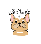 Somboon Happy French Bulldog（個別スタンプ：38）