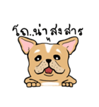 Somboon Happy French Bulldog（個別スタンプ：39）