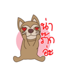 Wasabi smiling dog（個別スタンプ：1）