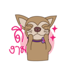 Wasabi smiling dog（個別スタンプ：2）