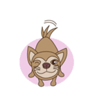 Wasabi smiling dog（個別スタンプ：10）