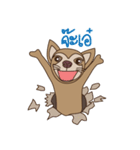 Wasabi smiling dog（個別スタンプ：14）