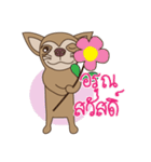 Wasabi smiling dog（個別スタンプ：18）