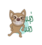 Wasabi smiling dog（個別スタンプ：20）