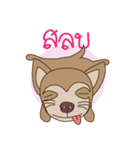 Wasabi smiling dog（個別スタンプ：25）