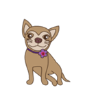 Wasabi smiling dog（個別スタンプ：26）