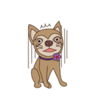 Wasabi smiling dog（個別スタンプ：27）