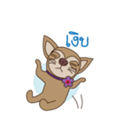 Wasabi smiling dog（個別スタンプ：29）