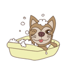 Wasabi smiling dog（個別スタンプ：30）