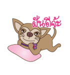 Wasabi smiling dog（個別スタンプ：32）