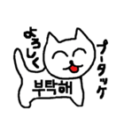 韓国語に挑むネコ（個別スタンプ：23）