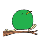 Kiwi。（個別スタンプ：23）