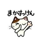 三毛猫みぃたんの熊本弁3（個別スタンプ：3）