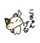 三毛猫みぃたんの熊本弁3（個別スタンプ：11）