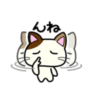 三毛猫みぃたんの熊本弁3（個別スタンプ：15）