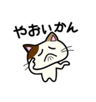 三毛猫みぃたんの熊本弁3（個別スタンプ：21）