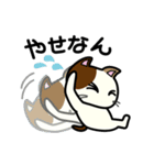 三毛猫みぃたんの熊本弁3（個別スタンプ：24）