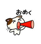 三毛猫みぃたんの熊本弁3（個別スタンプ：25）