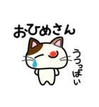 三毛猫みぃたんの熊本弁3（個別スタンプ：31）