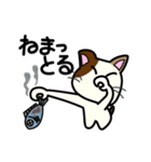 三毛猫みぃたんの熊本弁3（個別スタンプ：32）