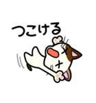 三毛猫みぃたんの熊本弁3（個別スタンプ：36）