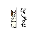 三毛猫みぃたんの熊本弁3（個別スタンプ：38）
