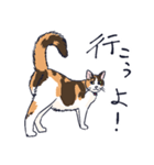 三毛猫とおでかけ（個別スタンプ：2）