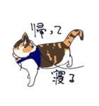 三毛猫とおでかけ（個別スタンプ：9）