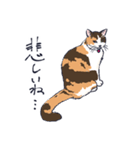 三毛猫とおでかけ（個別スタンプ：13）