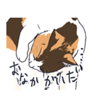 三毛猫とおでかけ（個別スタンプ：17）