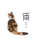 三毛猫とおでかけ（個別スタンプ：18）