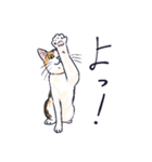 三毛猫とおでかけ（個別スタンプ：20）