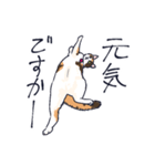 三毛猫とおでかけ（個別スタンプ：21）