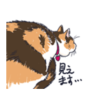 三毛猫とおでかけ（個別スタンプ：23）