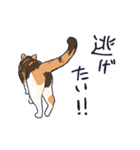 三毛猫とおでかけ（個別スタンプ：30）