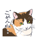 三毛猫とおでかけ（個別スタンプ：33）