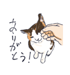 三毛猫とおでかけ（個別スタンプ：34）