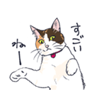 三毛猫とおでかけ（個別スタンプ：35）