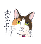 三毛猫とおでかけ（個別スタンプ：38）