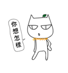 evil cat meow（個別スタンプ：12）