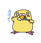 となりのインコさん（ルチノー）（個別スタンプ：17）