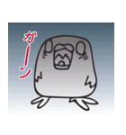となりのインコさん（ルチノー）（個別スタンプ：24）