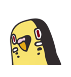 となりのインコさん（ルチノー）（個別スタンプ：26）