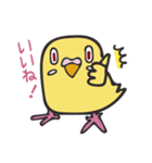 となりのインコさん（ルチノー）（個別スタンプ：40）