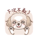 King ＆ Bow 2 (Lovely Shih Tzu)（個別スタンプ：11）