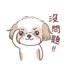 King ＆ Bow 2 (Lovely Shih Tzu)（個別スタンプ：19）