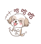 King ＆ Bow 2 (Lovely Shih Tzu)（個別スタンプ：22）